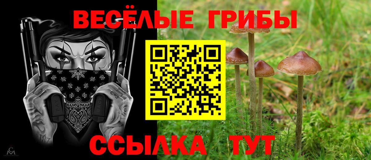 Галлюциногенные грибы GOLDEN TEACHER Уварово
