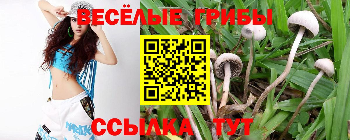 Уварово  Галлюциногенные грибы Psilocybine cubensis  Вход с VPN 
